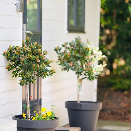 Horská chata Boshuisje De Kastanje - Met Prive Hottub *