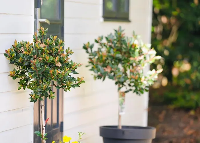 Alpehytte Boshuisje De Kastanje - Met Prive Hottub *